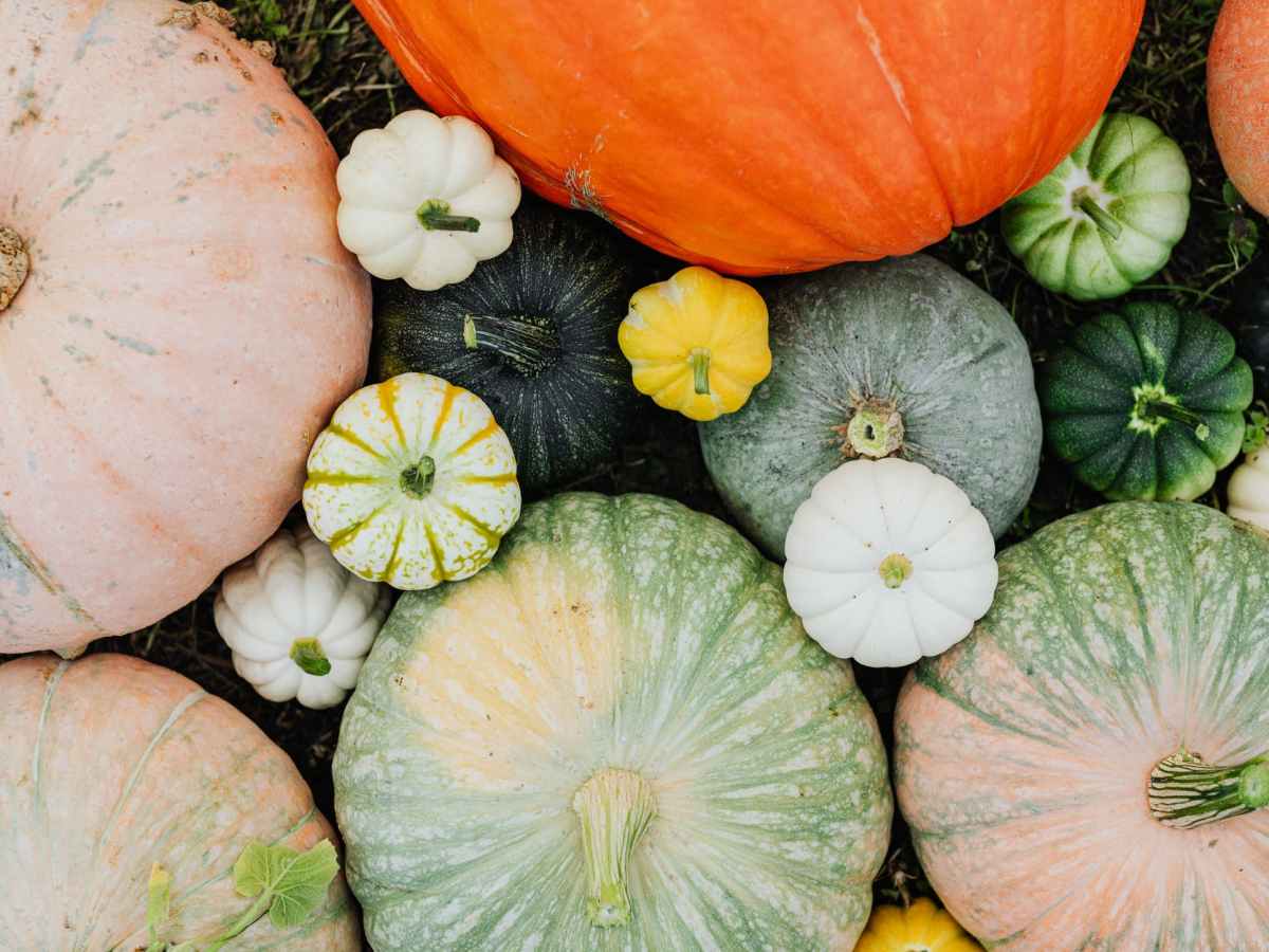 15 Things I Wish I Knew Before Starting College — In Cass of&nbsp;Emergency